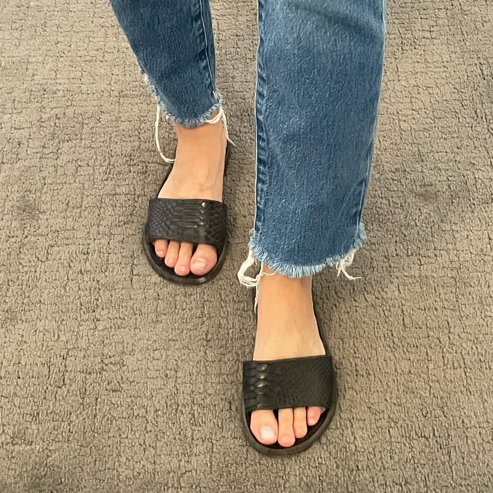 Free Bird Slides